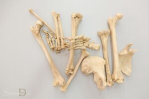 What is the Spiritual Meaning of Bones?