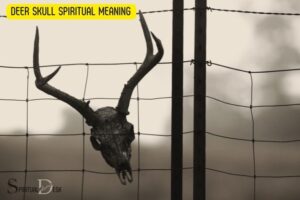 Deer Skull Spiritual Meaning
