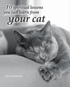 10 Spiritual Lessons from Your Cat