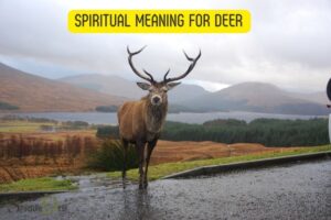 Spiritual Meaning for Deer: Innocence!