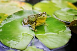 spiritual meaning of frog in the bible sda