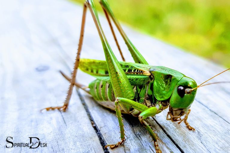 what is the spiritual meaning of a grasshopper