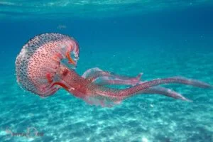 what is the spiritual meaning of a jellyfish
