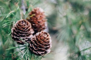 What is the Spiritual Meaning of a Pine Cone? New Life!