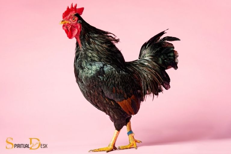 what is the spiritual meaning of a rooster