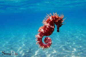 What is the Spiritual Meaning of a Seahorse?