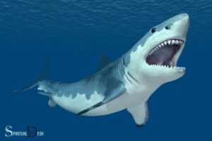 What is the Spiritual Meaning of a Shark?