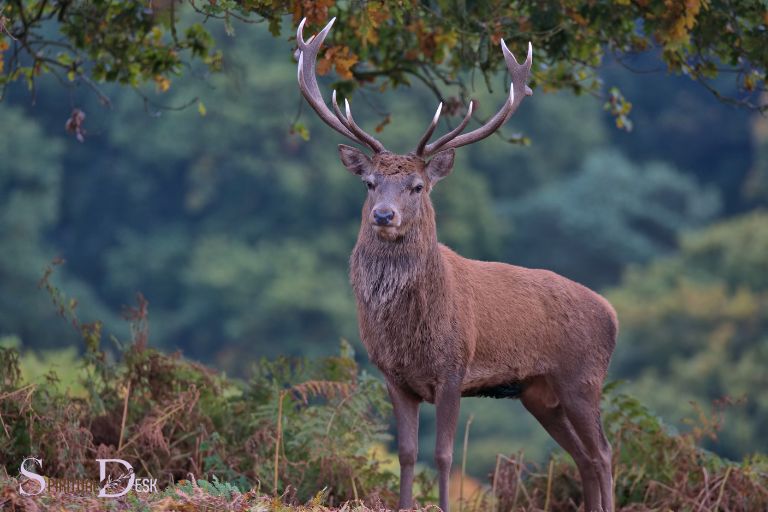 the-stag-represents-the-christian-soul-seeking-faith-and-truth-stock