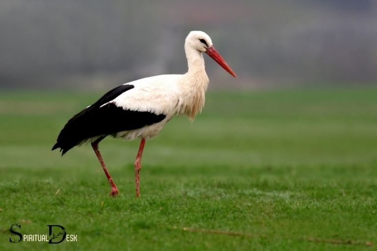 what is the spiritual meaning of a stork
