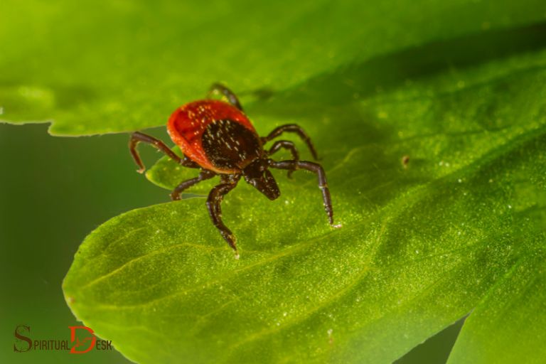 what is the spiritual meaning of a tick
