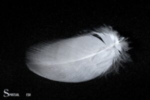 What is the Spiritual Meaning of a White Feather?