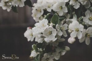 What is the Spiritual Meaning of a White Flower?