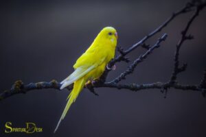 What is the Spiritual Meaning of a Yellow Bird?