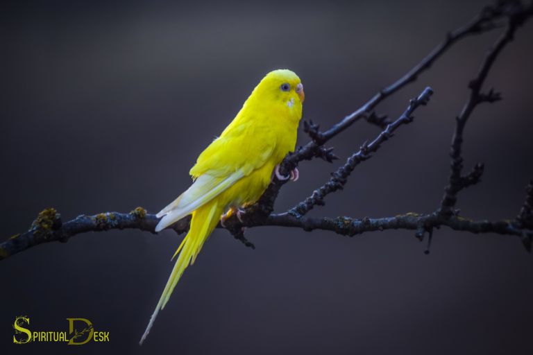 what is the spiritual meaning of a yellow bird