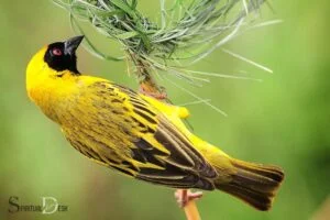 what is the spiritual meaning of a yellow finch