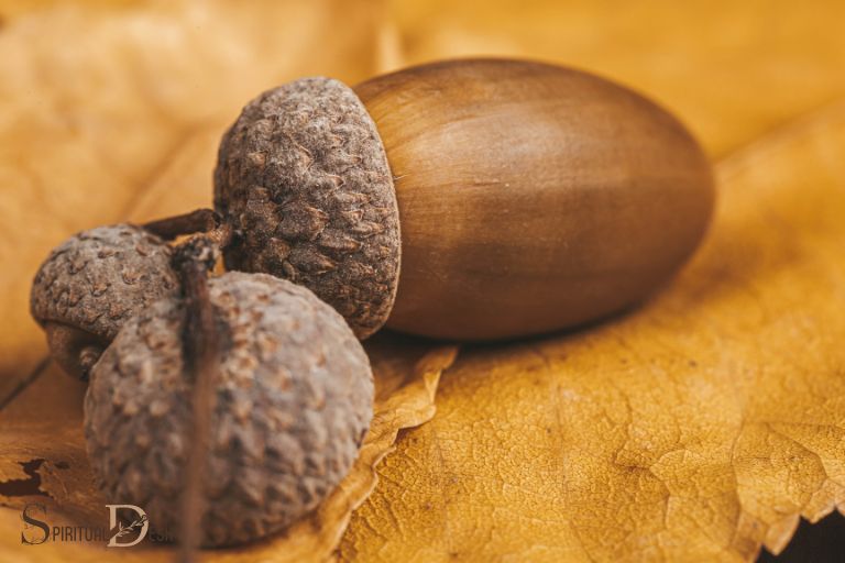 what is the spiritual meaning of an acorn