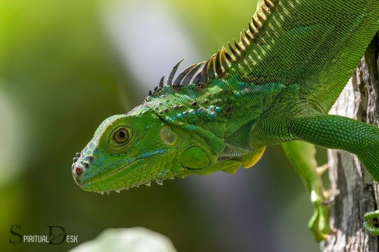 what is the spiritual meaning of an iguana