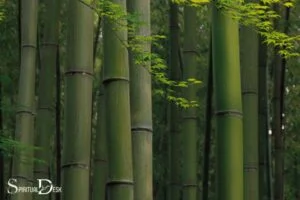 What is the Spiritual Meaning of Bamboo? Strength!