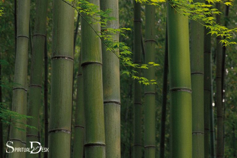what is the spiritual meaning of bamboo