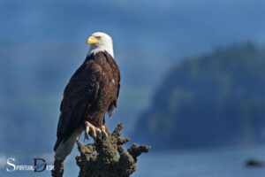 What is the Spiritual Meaning of Eagles: Strength!