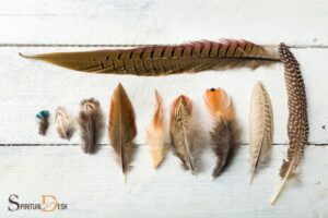 What is the Spiritual Meaning of Feathers? Guidance!