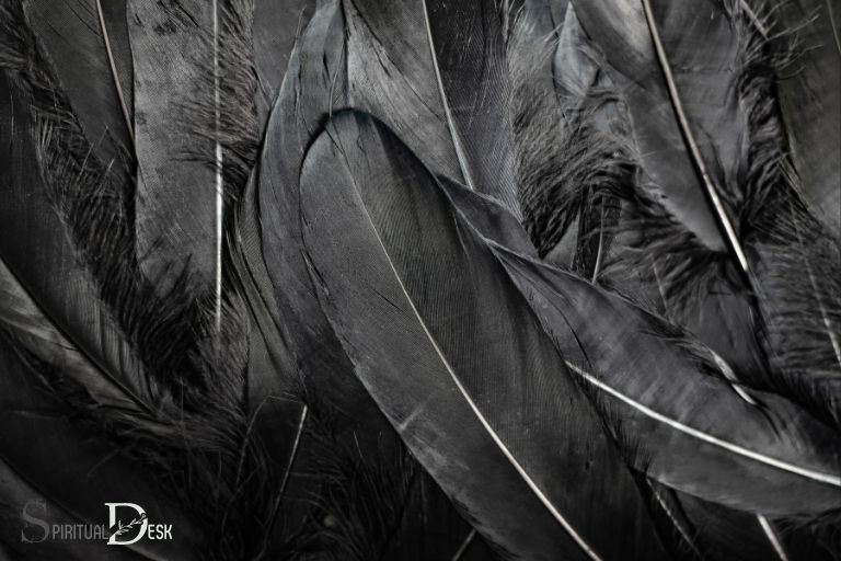 what is the spiritual meaning of finding a black feather