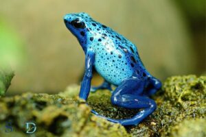 What is the Spiritual Meaning of Frogs? Fertility!