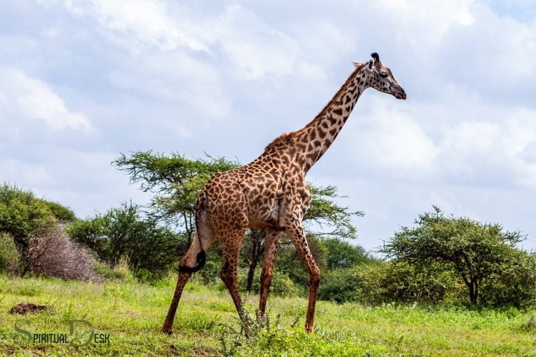 what is the spiritual meaning of giraffe