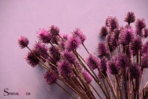 What is the Spiritual Meaning of Hyssop?
