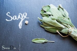 what is the spiritual meaning of sage?