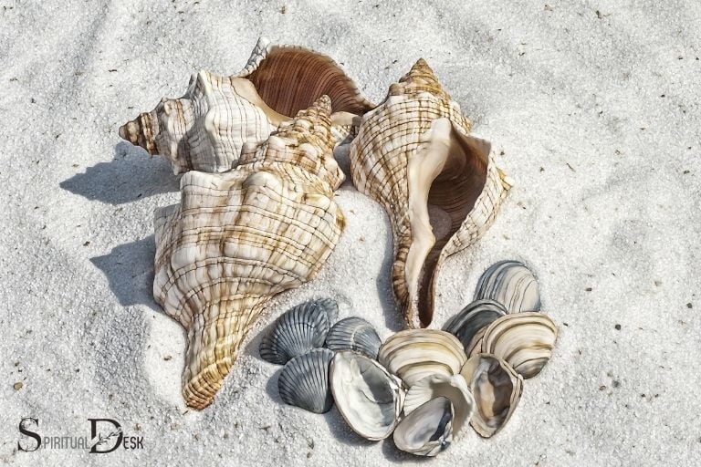 what is the spiritual meaning of sea shells