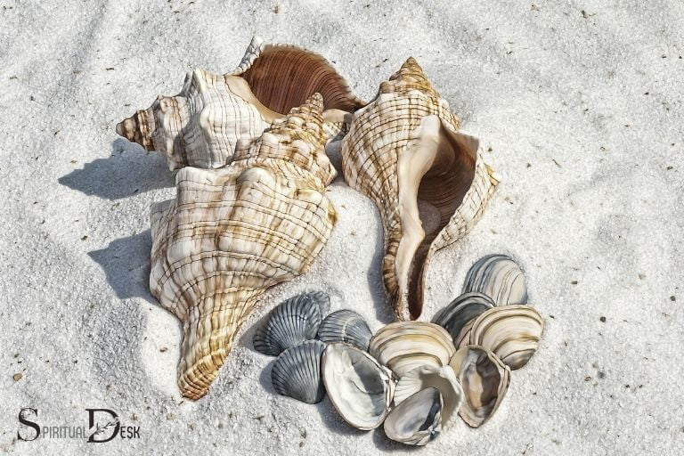  What Is The Spiritual Meaning Of Sea Shells Protection 