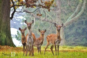 What is the Spiritual Meaning of Seeing a Deer? Intuition!