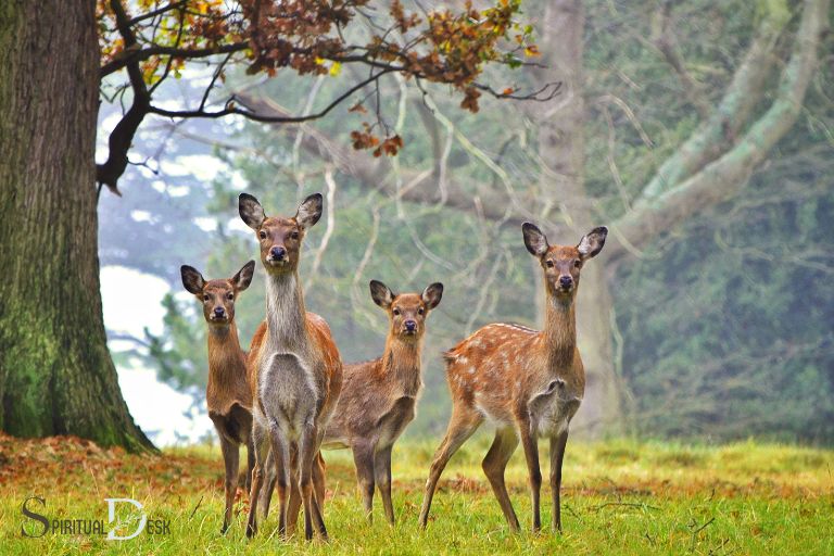 what is the spiritual meaning of seeing a deer
