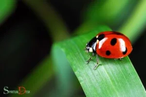 What is the spiritual meaning of seeing a ladybug?