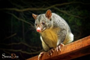 what is the spiritual meaning of seeing a possum?