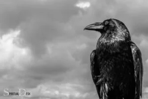 What Is The Spiritual Meaning Of Seeing A Raven? Secrecy!
