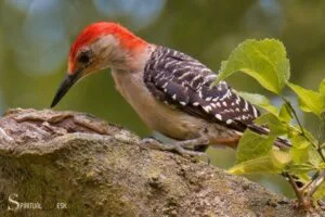 what is the spiritual meaning of seeing a woodpecker