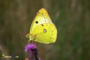 What is the spiritual meaning of seeing a yellow butterfly?