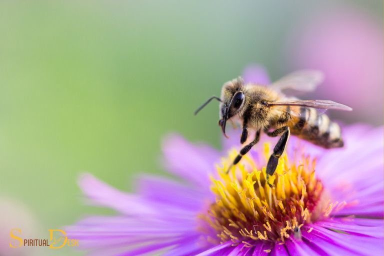 what is the spiritual meaning of seeing bees