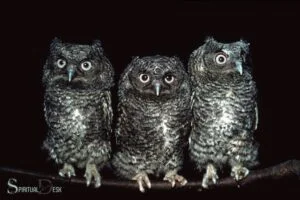 what is the spiritual meaning of seeing owls