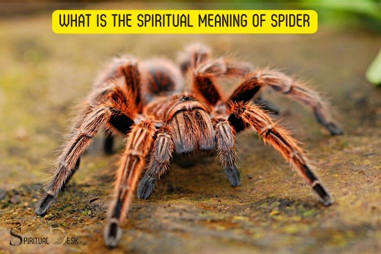 what is the spiritual meaning of spider