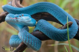 What Is The Spiritual Meaning Of The Snake: Healing!