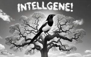 What is the Spiritual Meaning of a Magpie? Intelligence!