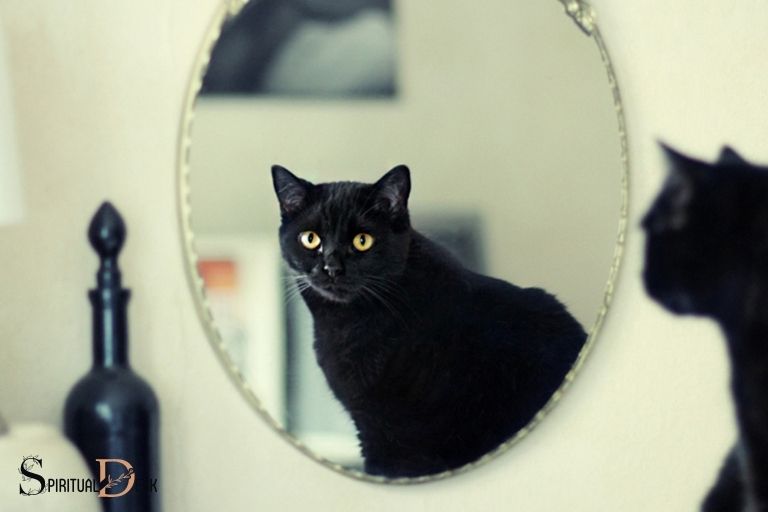 The Metaphysical Connection Between Cats and Mirrors