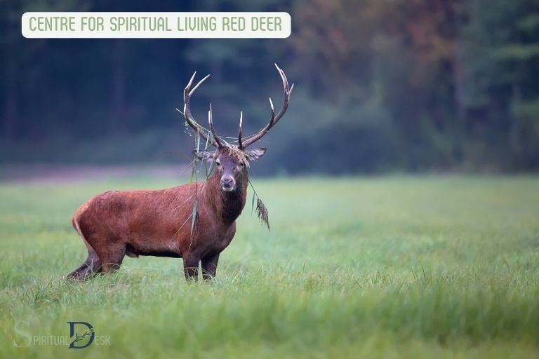 centre for spiritual living red deer