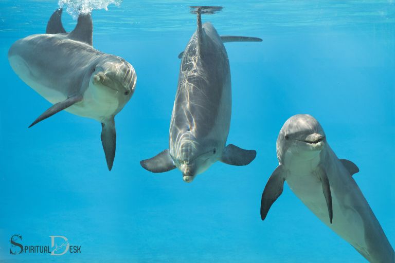 christian spiritual meaning of dolphins