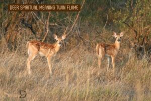 Deer Spiritual Meaning Twin Flame