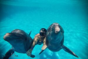 Spiritual Benefits Swimming With Dolphins: Healing!