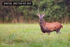 Spiritual Direction Red Deer